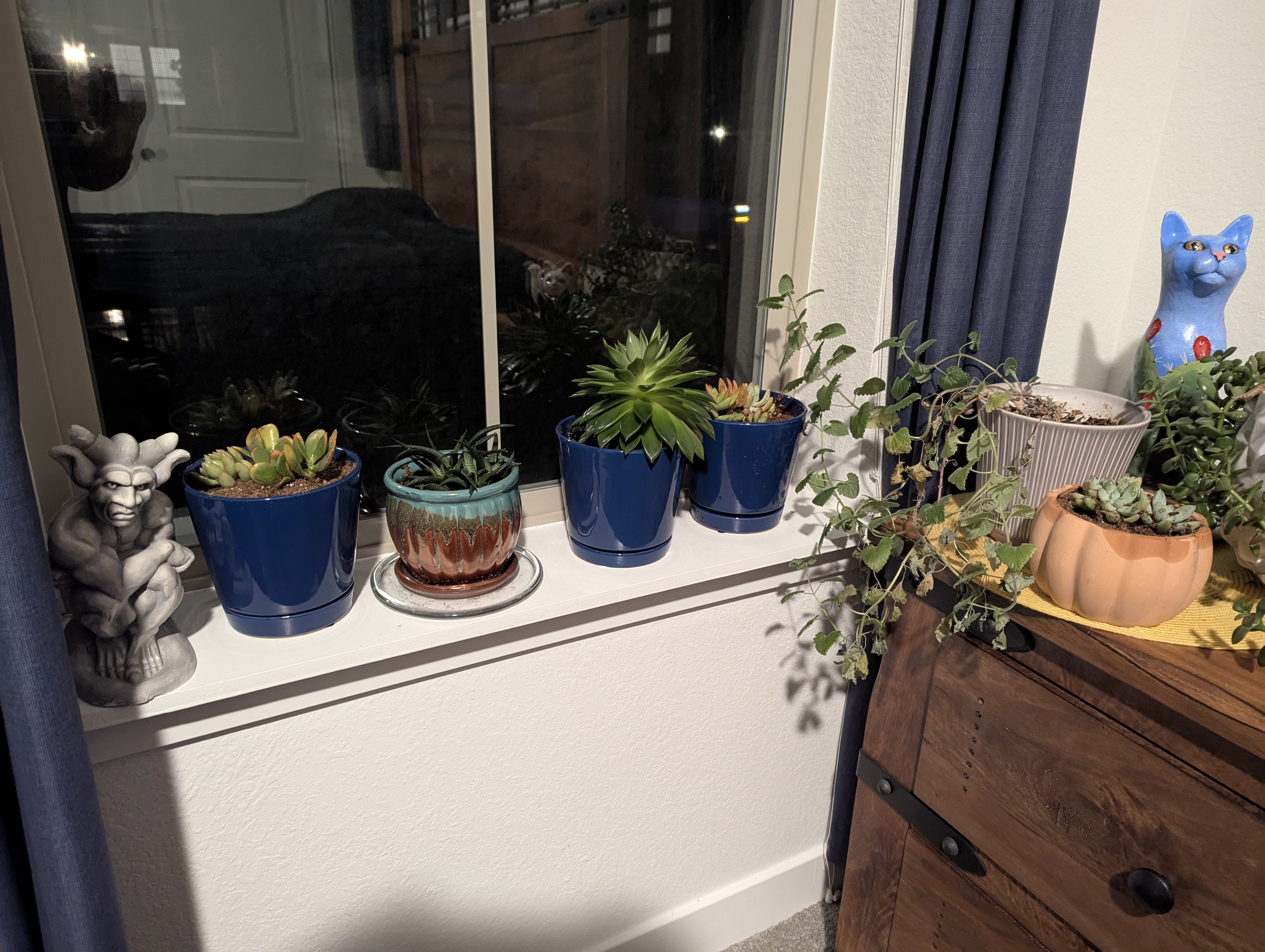 plants, new job, Morrison, Colorado